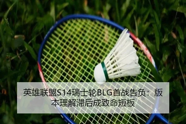 ying-xiong-lian-meng-rui-shi-lun-shou-zhan-gao-fu-ban-ben-li-jie-zhi-hou-cheng-zhi-ming-duan-ban-2-337.jpg