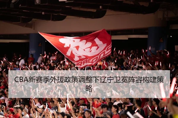xin-sai-ji-wai-yuan-zheng-ce-tiao-zheng-xia-liao-ning-wei-mian-zhen-rong-gou-jian-ce-lve-2-464.jpg